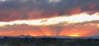 89DD5965-47F0-4DD3-8265-F1BA8EE1A0F3 2